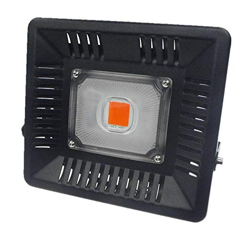 Bloom Lights The Best Amazon Price In Savemoney Es