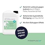 PFERDEPFLEGE24 Pferde Shampoo Anti Juckreiz 2,5l - Juckreiz lindern & Haut regenerien - Natürliches Pferdeshampoo gegen Juckreiz, Milben, Pilz-, Floh & Parasiten