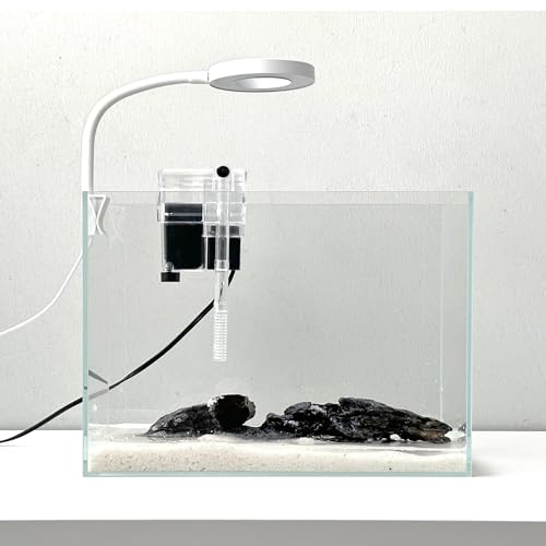 Nano-Aquarium-Set, kleines Betta-Fisch-Aquarium, 2,2 Liter, randloses Glas-Fischbecken mit Filter, Licht und Aquascaping-Dekorationen (transparent, komplett)