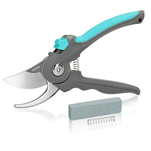 Preisvergleich Produktbild OLEAQ Bypass-Gartenschere Set mit Wetzstein und Ersatzfeder, Astschere Für Saubere Pflanzschönende Präzise Schnitte, Komfortabel in der Hand