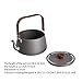 FytStycale Camping Kettle Tea Pot Teapot Kitchenware Cooking Outdoor Camping Pot Tea Kettle for Camp Backpacking Outdoor Mountaineering, Gray