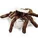 Spinne Kuscheltier braun Trichternetzspinne Tarantel Plüschtier Viggo - Kuscheltiere*biz