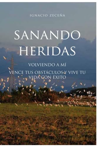 SANANDO HERIDAS: Volver a mi