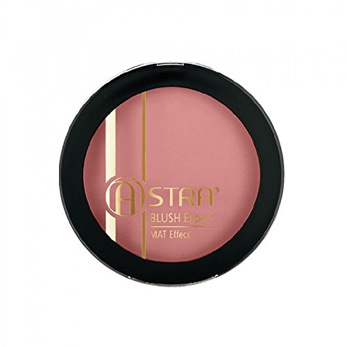 Preisvergleich Produktbild Blush Expert Mat Effect - Fard 06 Absolute