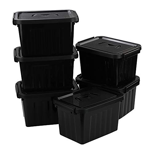 Cadine - Caja de almacenamiento de 6 litros, caja de plástico con tapa (6 litros)