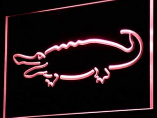 ADVPRO Alligator Crocodile Display LED Neon Sign Red 24 x 16 Inches st4s64-i827-r