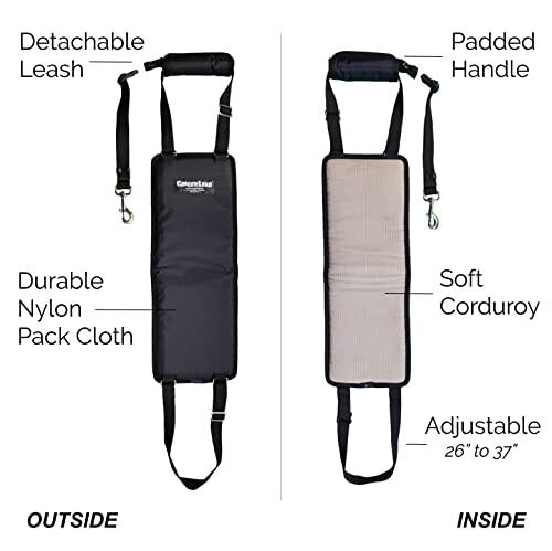 Gingerlead Dog Sling Hip Support Harness, Tall Female Fits Tall, Lean Female Dogs Like Greyhounds Or Great Danes. Padded Lifting Aid To Help Em Up Or Down Steps, In Or Out Of Vehicles. Made In U.s.a. #TOP2