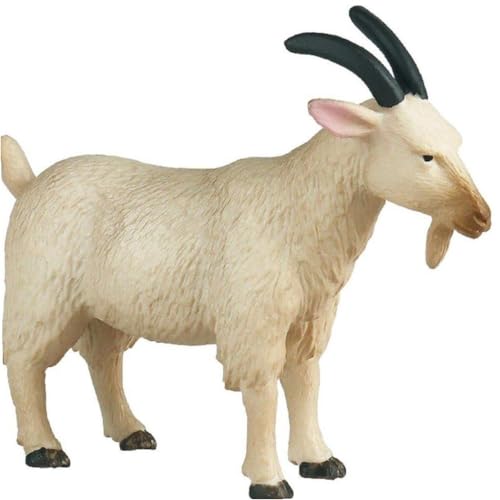 Vepoty M tBMA u  Mf wK 炨 p[eB[ Mtg q