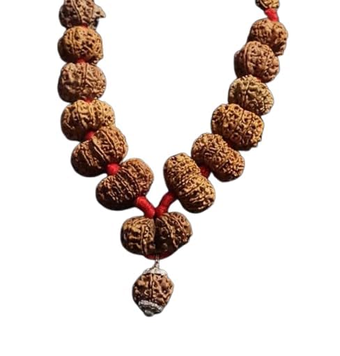 1 21 mukhi rudraksha mala original certified with gol dana nepali ॐ 1 to 21 mukhi nepali rudraksha kantha mala 1 se 21 lord shiva jaap 1 21 इन्द्राणी माला indrani mala 1-21 shahi indrani by certified gems