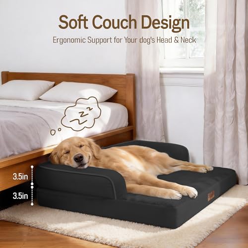 Image of Comfort Expression Washable Orthopedic Dog Bed for Extra Large Sized Dogs | Waterproof Memory Foam Pet Bed 42x30 Inch with Removable Cover with Non-Slip & Bolster, Black
