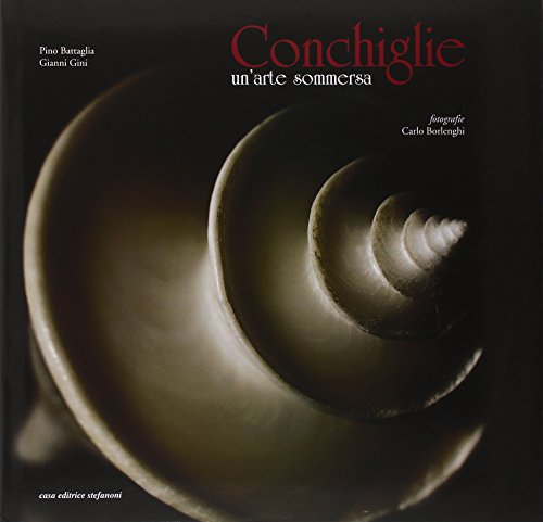 Conchiglie. Un'arte sommersa. Ediz. illustrata Conchiglie. Un'arte sommersa. Ediz. illustrata
