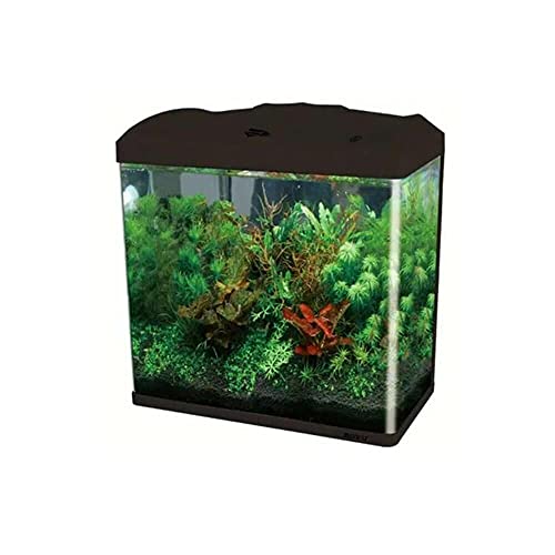 BOYU - Aquário Curvo EC-400 33L Preto 127V