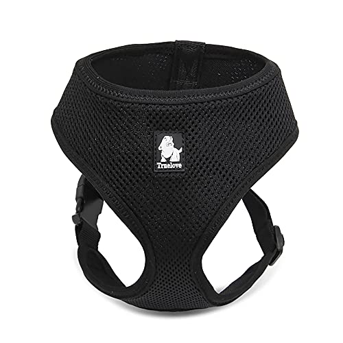 J&C Paradise y n[lX {KX p \tg ʋC bV Vv lC ȒP v TRUELOVE (, L)