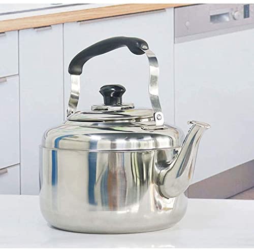 Bouilloire à sifflet inox pour plaque de cuisson gaz
