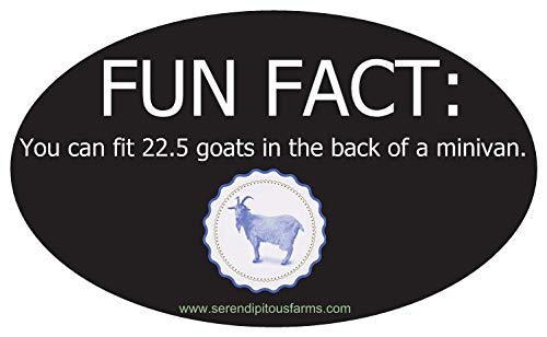 Fun Fact: You Can Fit 22.5 Goats In The Back Of A Minivan. Funny Bumper Sticker. 5" X 3" #TOP23