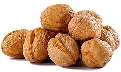 Image of In Shell Walnuts (4 Lbs.) - Large Natural California Walnuts - Great Source of Omega 3 - Fresh New Crop - Bursting with Flavor - Farm Fresh Nuts Brand