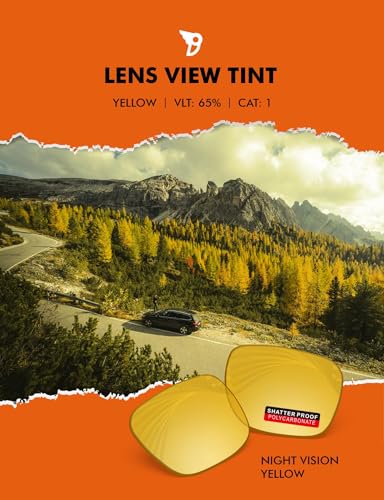 Image of PRO+ Polycarbonate Replacement Lenses Compatible with Ray-Ban Meta Wayfarer RW4006 & Gen 2 RW4012 50mm Sunglasses