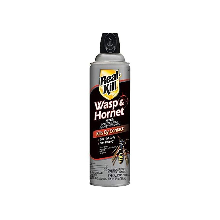 Buy Real Kill Wasp Yellowjackets Bee Spray Flying Stinging