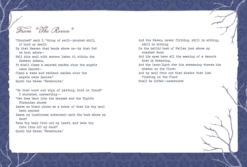 Edgar Allan Poe: The Master of the Macabre (Pocket Portraits) - Image 7