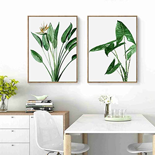 Art plantes vertes décoration maison moderne avec duo Alocasia