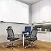 Office Chair High Back Desk Chair for Computer, Black Mesh Back Adjustable Height Tilt Angle Swivel Ergonomic Chair with Lumbar Support Headrest Metal Base