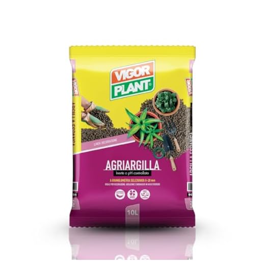 ARGILLA ESPANSA 10 LT.