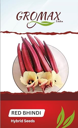 Red Lady Finger "F1 Hybrid" Seeds For Home Garden and Kitchen Garden (Okra Red Bhindi) Seeds (50 Seeds/Packet)-image-48