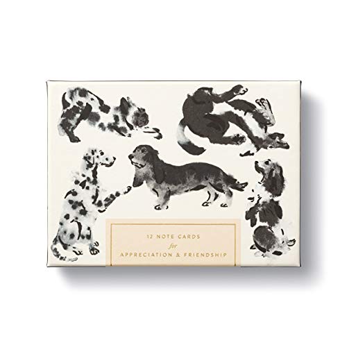 Compendium Cards With Adorable Dog Illustrations 12 Note Cards For Appreciation & Friendship #TOP30