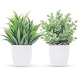 Der Rose 2 Pack Small Fake Plants Mini Artificial...