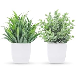 Der Rose 2 Pack Small Fake Plants Mini Artificial Potted Plants Graduation Gifts for Table Desk Home Laundry Room Bathroom Office Decor