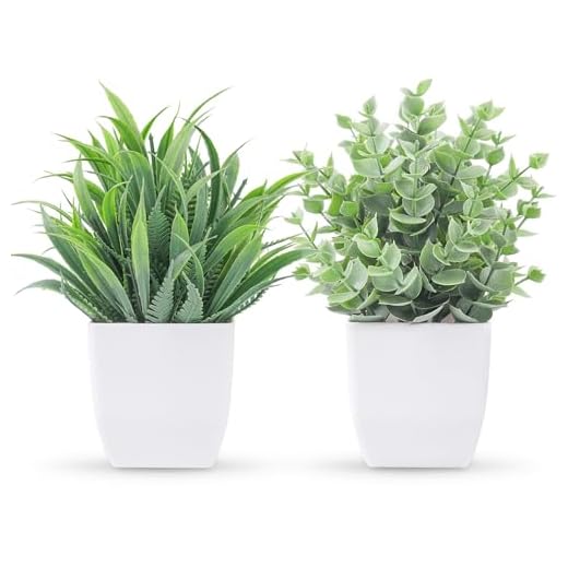 Der Rose 2 Pack Small Fake Plants Mini Artificial Potted Plants for Table Desk Home Bathroom Office Decor