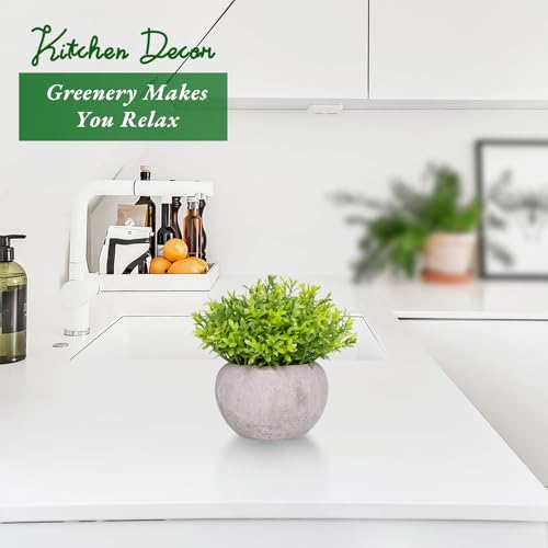 Small Fake Plants for Bathroom Shelf Decor, Mini Artificial Plants Indoor Fake Succulent Grass Desk Plant for Office Women Coffee Table Decor Fake Potted