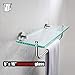 JQK Bathroom Glass Shelf, Shelf with 15 Inch Towel Bar Tempered Glass Shower Storage 16 by 5 inches, 304 Stainless Steel Brushed Finish Wall Mount, TGS100-BN