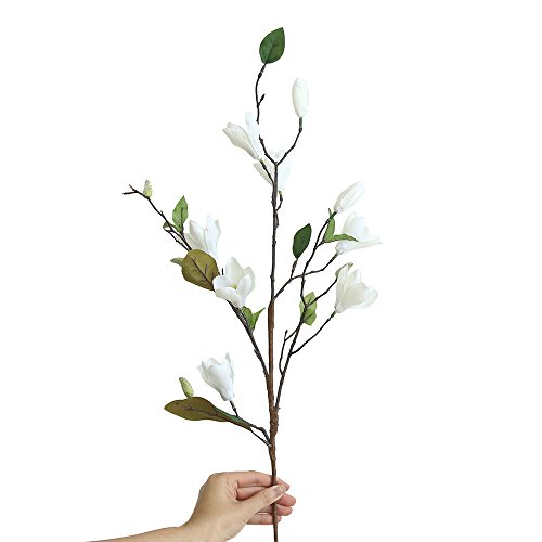 Lovskoo Fake Plants Home Decor Artificial Flowers Magnolia Centerpiece Table Decorations Preserved Flowers Vase Filler For Bedroom, Kitchen, Party, Green Ornaments For Women, Men (White) #TOP1