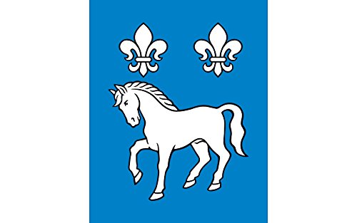 Drapeau Gmina Przykona grande taille pavillon officiel de Pologne