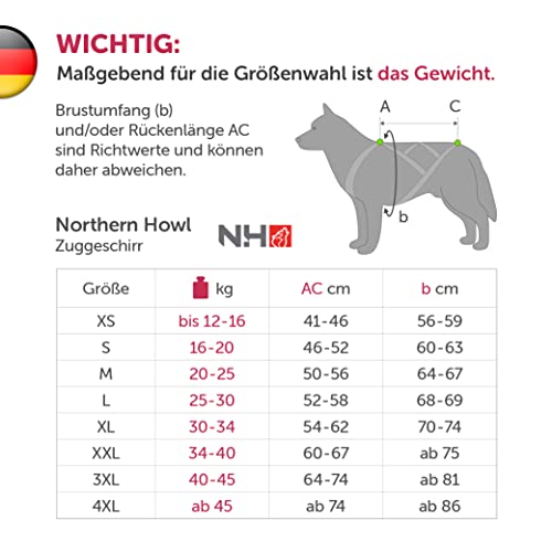X-Back con stoviglie per Bike, Skijoring