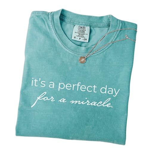 Comfort Colors® IVF Mom and Dad Gift Shirt, Transfer Day It’s A Perfect Day for A Miracle Shirt for Couples, IVF Strong Matching Tee White