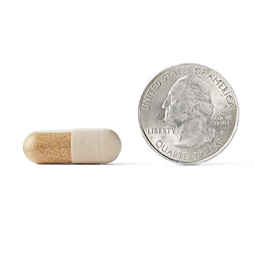 Neuriva Plus Capsules (30Ct) - Supports Focus, Memory, Learning, Accuracy, Concentration & Reasoning (Case Pack Of 12) #TOP6