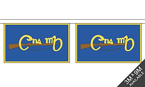 Flagtex Cumann na mBan Horizontal Fabric Bunting – 3m with 10 Flags – Fabric for Indoor & Outdoor Use – String Flags Banners Irish Republican Women Historical
