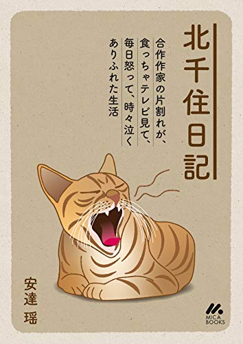 北千住日記 マイカ文庫 安達瑶 日本の小説 文芸 Kindleストア Amazon