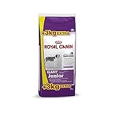 Royal Canin