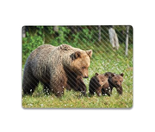 Image of MightySkins Carbon Fiber Skin Compatible with Microsoft Surface Laptop Go 3 (2023) Full Wrap Kit - Grizzly | Protective, Durable Textured Carbon Fiber Finish | Made in The USA