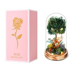 Hydrangea Tree-dark Green