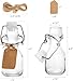 Kingrol 30 Pack 2 oz Glass Bottles with Swing Top Lids, Small Airtight Bottles for Vanilla Extract, Juice Shot, Maple Syrup, Mini Glass Bottles for Wedding Party Favors & DIY Gifts
