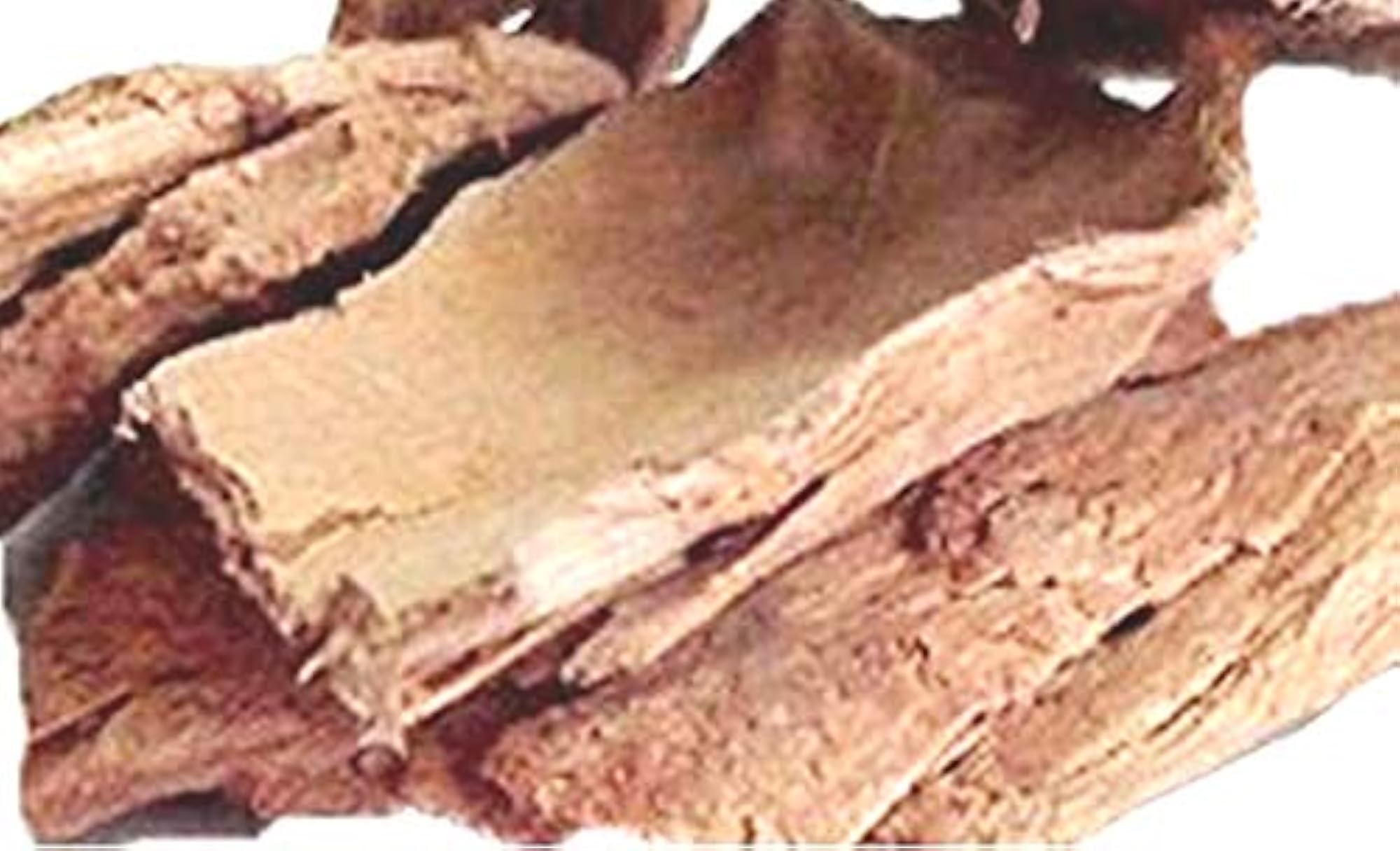 Terminalia Arjun Chaal Arjunolic Myrobalan Arjuna Bark 250Gms