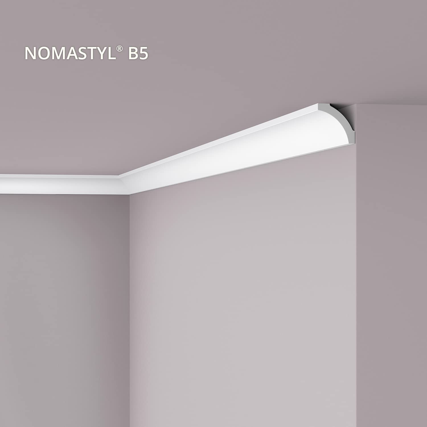 B5 NOMASTYL Moulure de plafond - 10 pièces (20 m) - 50 x 50 x 2000 mm - NOËL & MARQUET - une marque de NMC - Polystyrène