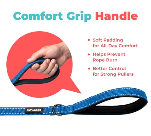 Image of Best Pet Supplies Voyager Reflective Dog Leash or Collar with Neoprene Handle, for Small, Medium, and Large Breed Puppies, Cute and Heavy Duty for Walking, Running and Training - Royal Blue (Leash), S