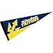 WinCraft UC San Diego Pennant Full Size Felt