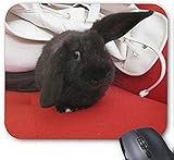 Langlebiger, schmutzabweisender, hochwertiger, umweltfreundlicher Stoffbezug. Stoffoberfläche für hohe Leistung