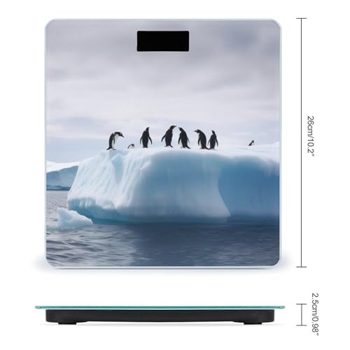 Báscula digital de baño con diseño pingüinos y vidrio templado miniatura 2